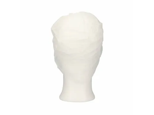 PPnw pet met klep en haaropvang wit 'snood cap' 1000 Stuks