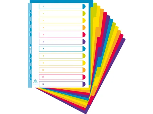 Tabbladen A4+ PP Assorti Campus Doorschijnend 12-Delig 11-Gaats