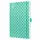 Weekagenda Flair A5 2026 (NL/FR/EN/DU) Mint Green Hardcover