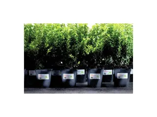 weerbestendig etiket Avery 63,5x33,9mm 20 vel 24 etiketten per vel - 4