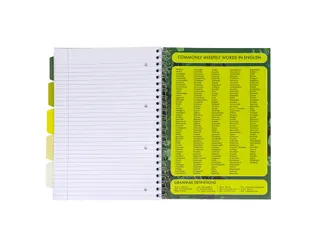 Projectboek Pukka Pad Recycled A4 lijn 5-tabs 4-gaats 200 pagina's 80g - 6