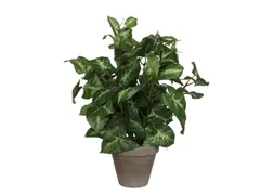 Kunstplant Mica Syngonium groen in pot 35x25cm