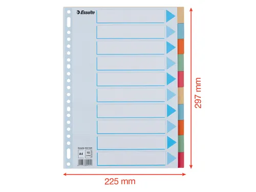 Tabbladen Esselte Premium A4 10-delig karton 23-rings assorti