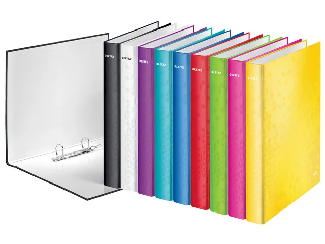 Ringband Leitz Wow 4241 2 rings D-mech 25mm A4 Ijsblauw