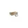 Vouwhanddoekjes 2-Laags 21X21C M Doos 20X190 Stuks