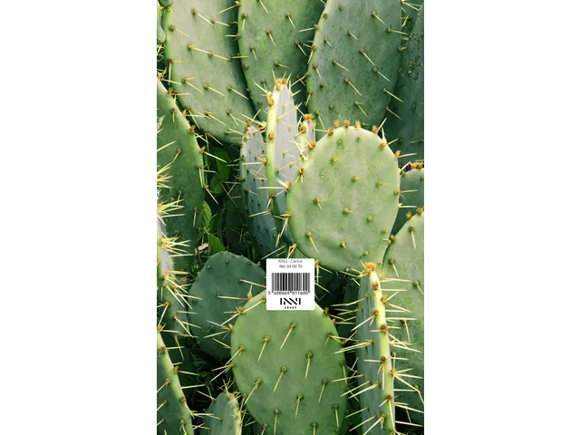 Rugschild foto de 'Druivelaar' en de 'Sablier' 2026