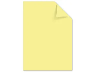 Papier Kangaro A4 160 grams pastel geel pak 50 vel - 1
