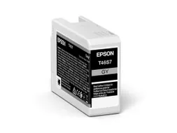 Epson Origineel Inktcartridge UltraChrome Pro 10 C13T46S700 Grijs