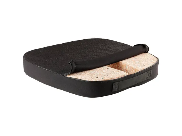 Stoelkussen Fellowes Breyta Comfort zwart