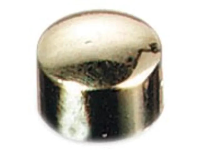 Magneten Prestige Goud 10mm