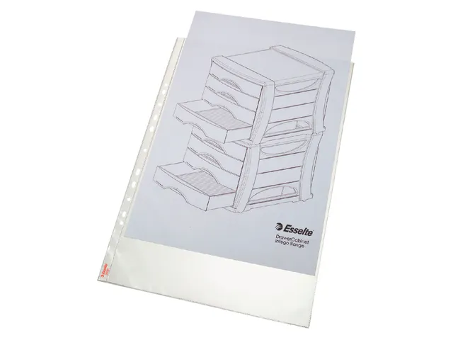 Showtas Esselte 55231 Standaard A3 PP 0.09mm 11-gaats 50 stuks