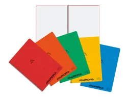 Schrift Aurora A4 ruit 5x5mm 120 pagina's 80gr assorti