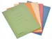 Chemise 3 rabats carton Class'ex 18,2x22,5cm assorti