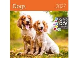 Kalender 2027 Helma 365 30x30cm honden