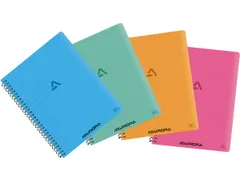 Writing 80 spiraalschrift 21 x 16,5 cm geruit