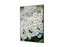 Wanddecoratie Textiel Set A2 Witte Bloem Spirea