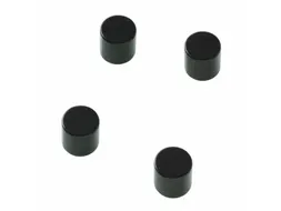 Glasbordmagneten Naga 10x10xmmcylinder set a 4st. zwart