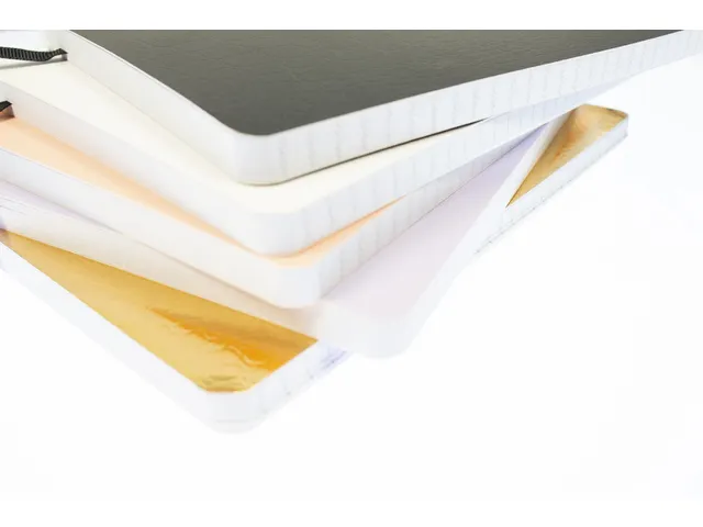 Carnet de notes Pure Croco A5 ligné 5 couleur 80gramme 160 pages 2 ru