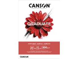 Schilderpapier Canson Graduate Oil & Acrylic 20vel 290gr A3 natuurlijk
