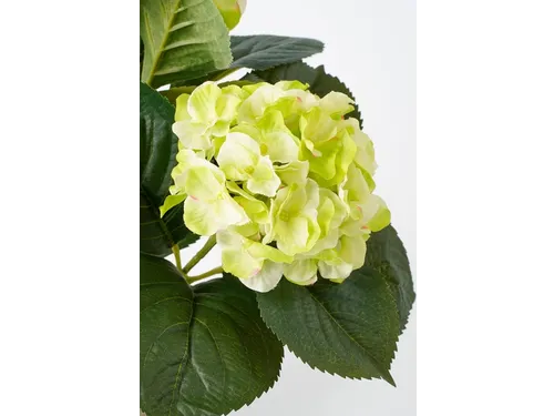 Kunstplant Mica Hortensia in pot groen 35x40cm