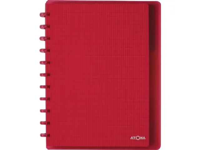 Trendy schrift A4+ 120 blad commercieel geruit assorti