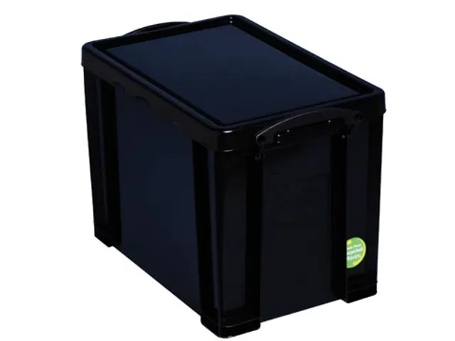 Opbergdoos 19 Liter Gerecycled Zwart