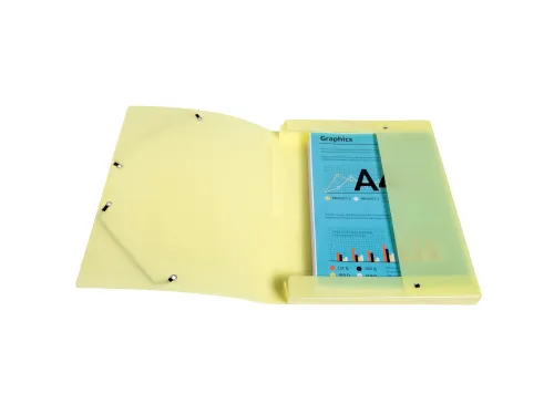 Klasseerdoos rug 25m m PP Chrom.Pastel