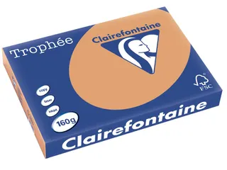 Trophée Pastel gekleurd papier A3 160 gram 250vel Caramel bruin - 2