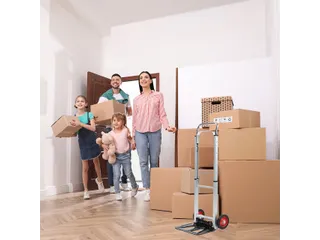 Steekwagen BRASQ stalen plateau 90 kg - 12