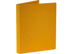 ringmap A4 uit glanskarton 2 ringen 25 mm geel