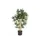 Bamboe 150cm Sierpot