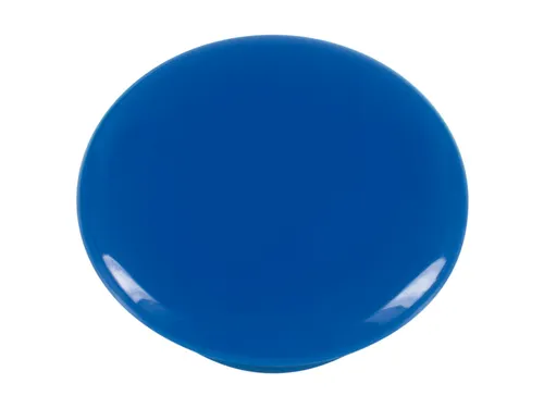 Magneet Westcott assorti kleur pak à 12st. Ø 20x8mm. assorti kleuren