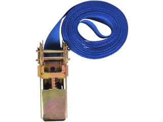 Spanband ProPlus ratel 5 meter blauw - 2
