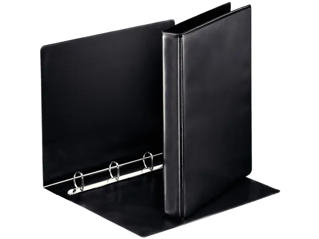 Presentatie Ringband Esselte 4 rings A4 25mm D-mech Panorama Zwart