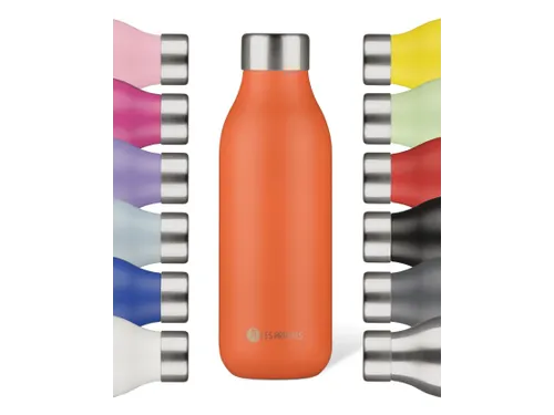 Thermosfles 2.0 Les Artistes Paris 500ml Spice