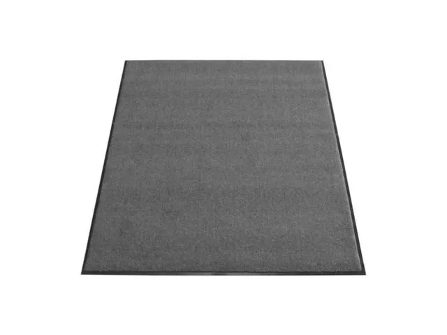 Schoonloopmat 91x150 cm Voor Binnenshuis Antraciet