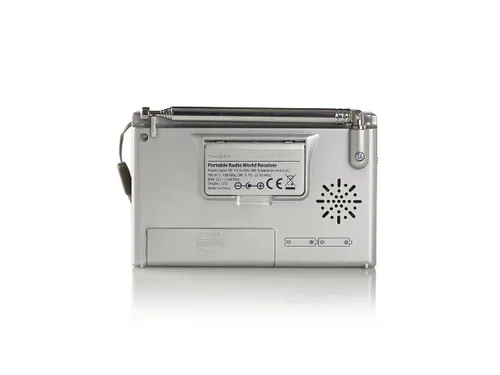 Wereldradio Nedis met wekker RDWR1000GY