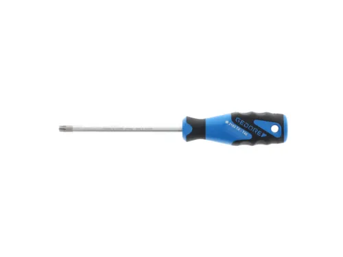2163 Schroevendraaier TX T40 3C