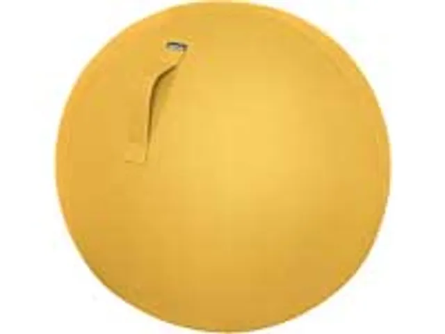 52790019 LEITZ Ergo Cosy zitbal geel