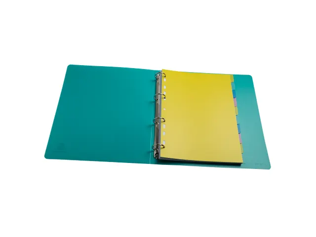 Tabbladen PP FOREVER YOUNG A4 10 tabs