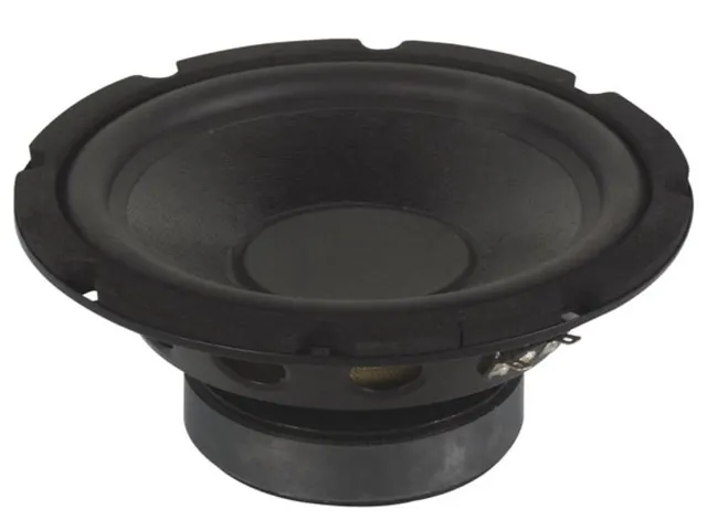 Zwarte Subwoofer Voor Luidspreker 10 Inch 350w