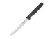 Couteau à tomates Hygiplas dentelé 10cm noir