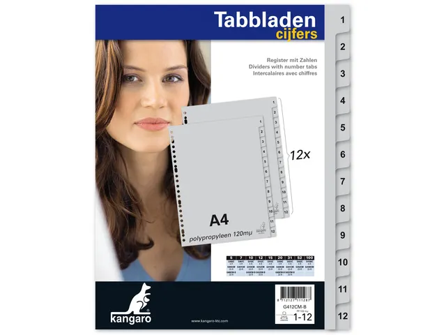 Intercalaire Kangaro A4 PP 120 microns 12 onglets 1-12 gris 23 perf
