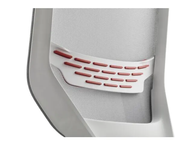 Lumbaalkussen,Rood,M. Zachte Bekleding