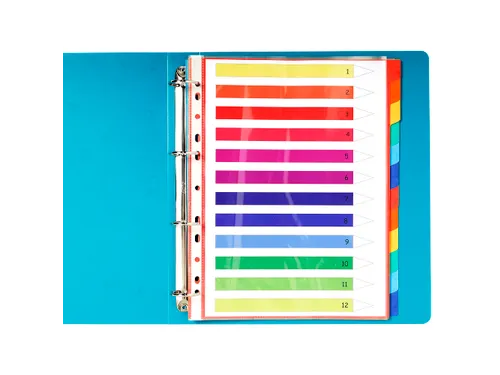 Tabbladen glanskarton 225g 12-delig formaat 24x32cm Assorti