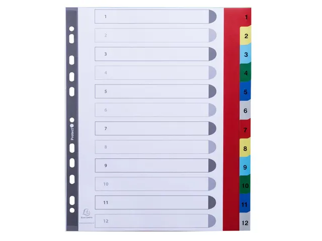 Tabbladen Polypropyleen A4+ 0.12mm 1-12 Bedrukte Tabs 12-Delig