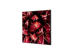 Wanddecoratie Textiel Set 40x40cm Cactus Rood