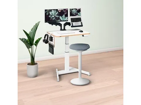 Ergo Elektrische Thuiswerkplek set pakket 3