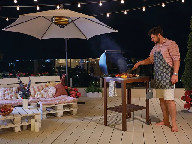 Terrasverwarmer 2000 W wandmontage met trekschakelaar Zwart