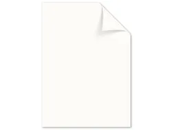Papier Kangaro A4 160grs room- wit pak 250 vel